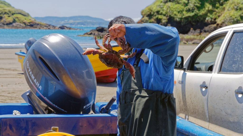 11 - Île de Chiloé (16).jpg